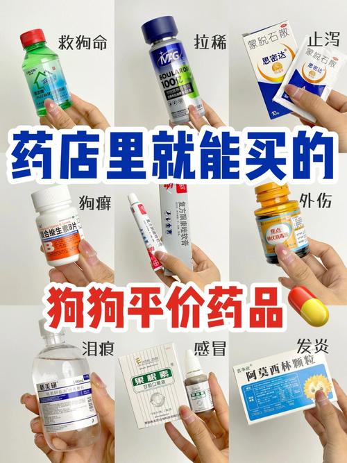 狗狗感冒了自己会好吗,狗狗感冒能自愈么?-第1张图片-后鲨宠物 狗狗感冒了自己会好吗,狗狗感冒能自愈么?-第1张图片-后鲨宠物