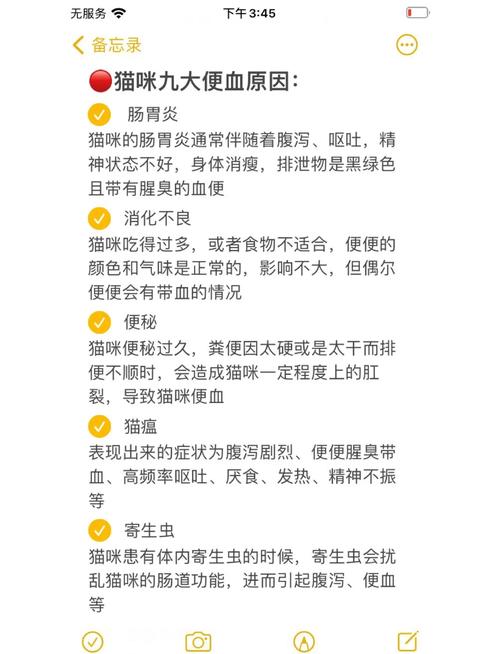 猫咪拉肚子便血,猫咪拉肚子便血是怎么回事?-第3张图片-后鲨宠物 猫咪拉肚子便血,猫咪拉肚子便血是怎么回事?-第3张图片-后鲨宠物