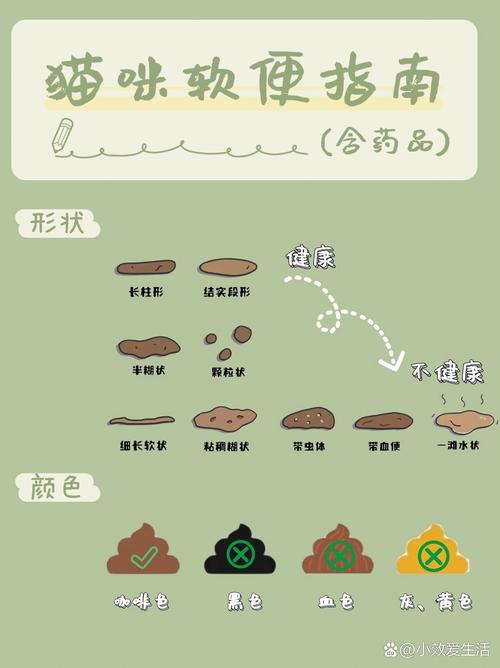 猫咪拉稀什么原因怎么治,猫咪拉稀有哪些原因-第3张图片-后鲨宠物 猫咪拉稀什么原因怎么治,猫咪拉稀有哪些原因-第3张图片-后鲨宠物