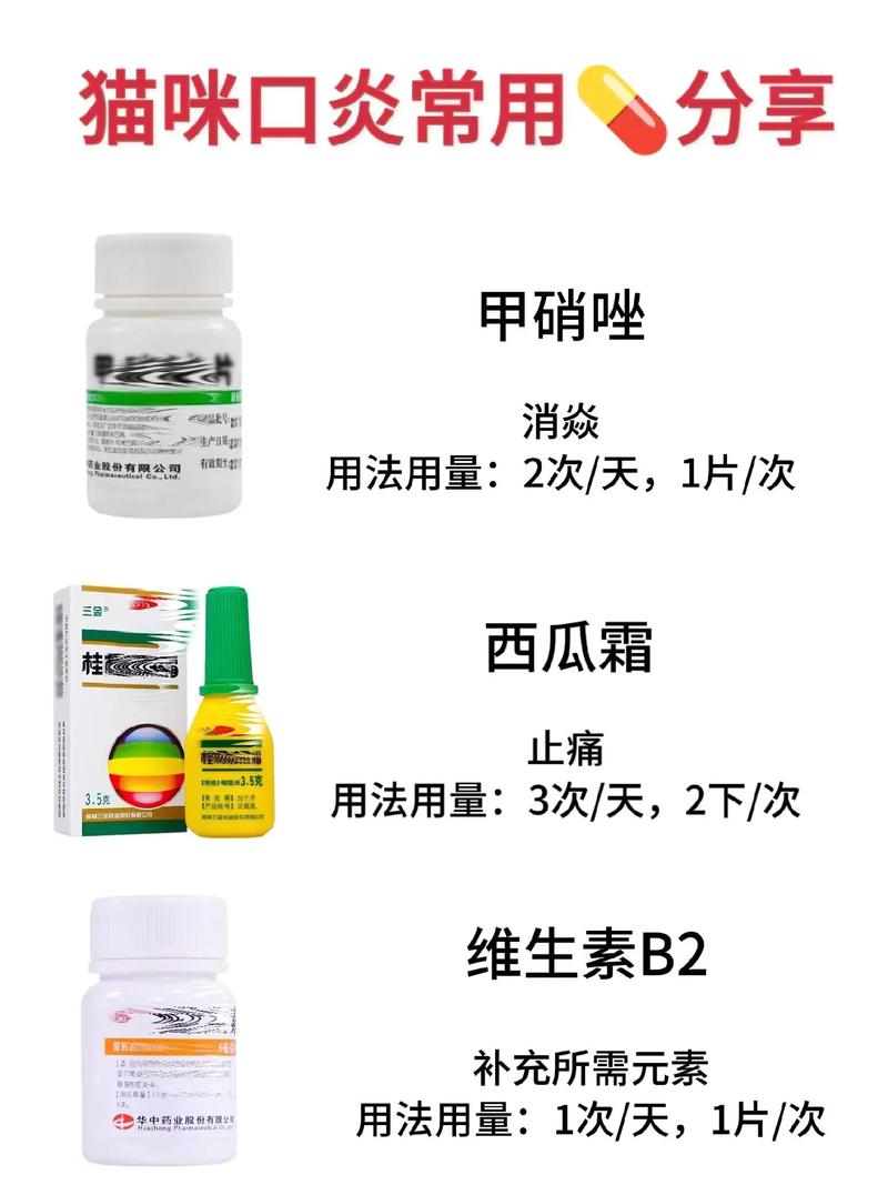 猫咪口炎用西瓜霜治好了_猫咪口炎用西瓜霜治好了还会得吗-第1张图片-后鲨宠物 猫咪口炎用西瓜霜治好了_猫咪口炎用西瓜霜治好了还会得吗-第1张图片-后鲨宠物