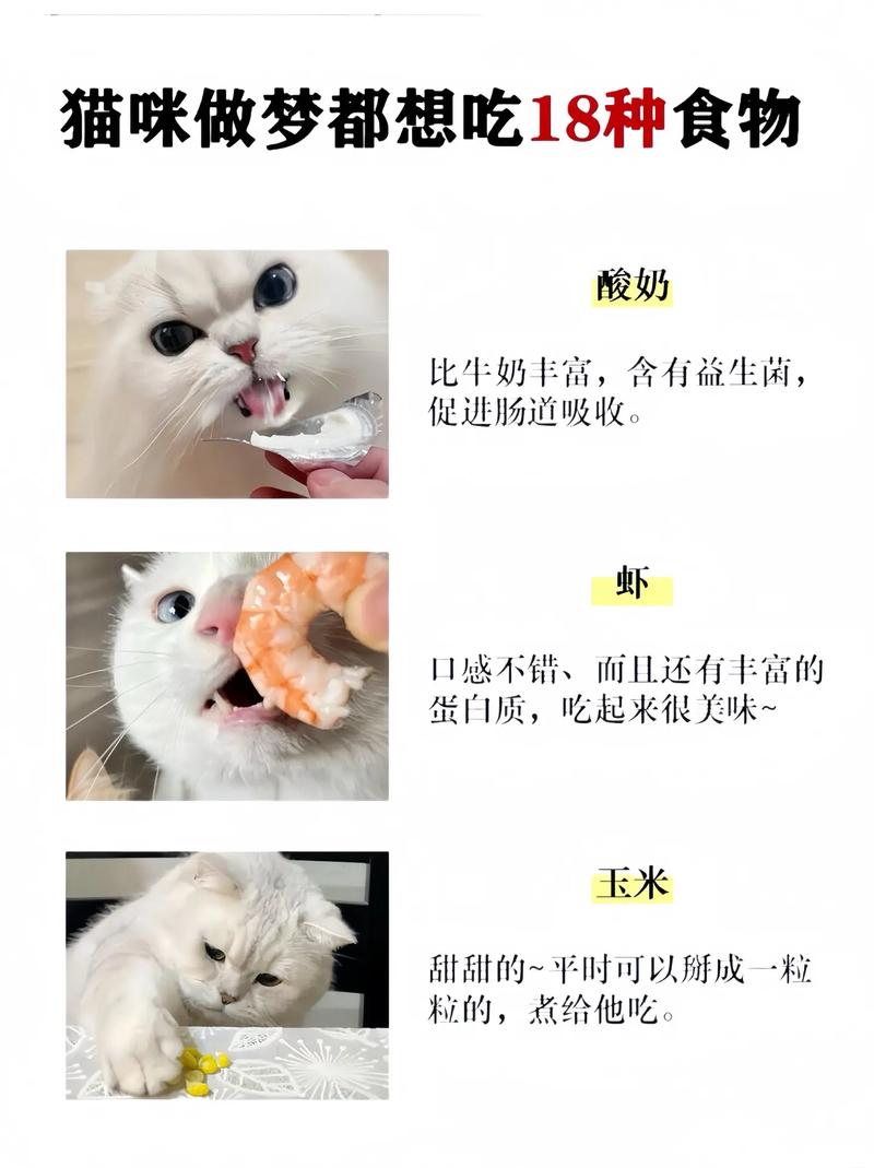 猫咪最喜欢什么,猫咪的品种有哪些-第1张图片-后鲨宠物 猫咪最喜欢什么,猫咪的品种有哪些-第1张图片-后鲨宠物