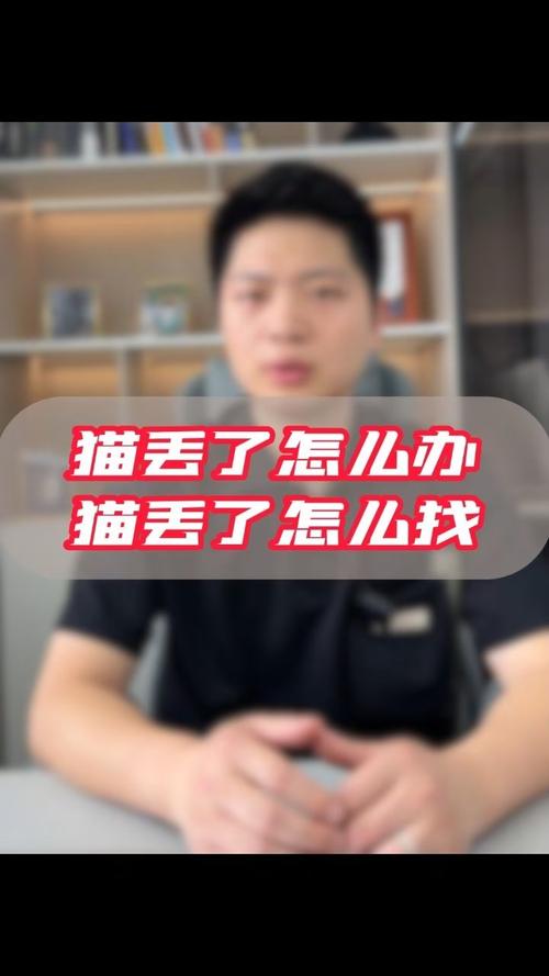 猫咪走丢了怎么办_猫走丢了怎么样才能找回来-第5张图片-后鲨宠物 猫咪走丢了怎么办_猫走丢了怎么样才能找回来-第5张图片-后鲨宠物