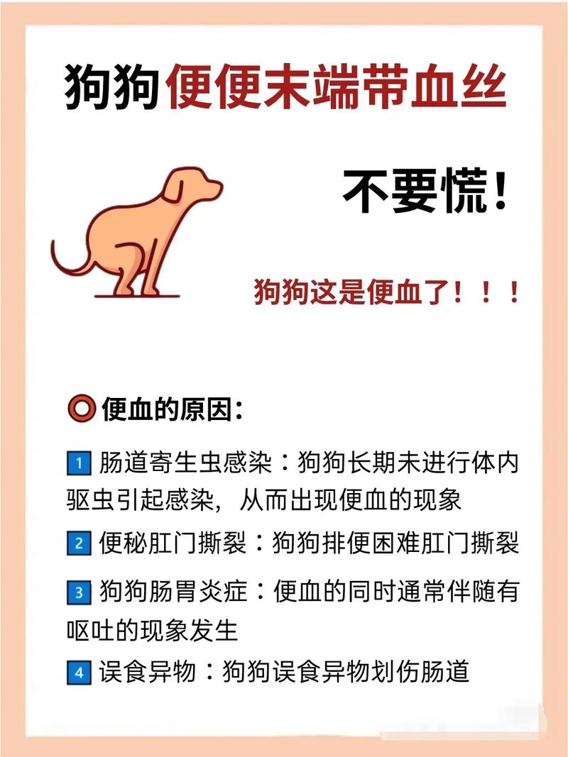  狗狗拉肚子带血怎么回事，狗狗拉肚子还带血-第5张图片-后鲨宠物