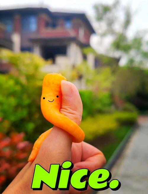 狗狗可以吃生胡萝卜吗_狗可以吃生的胡萝卜嚒-第5张图片-后鲨宠物 狗狗可以吃生胡萝卜吗_狗可以吃生的胡萝卜嚒-第5张图片-后鲨宠物