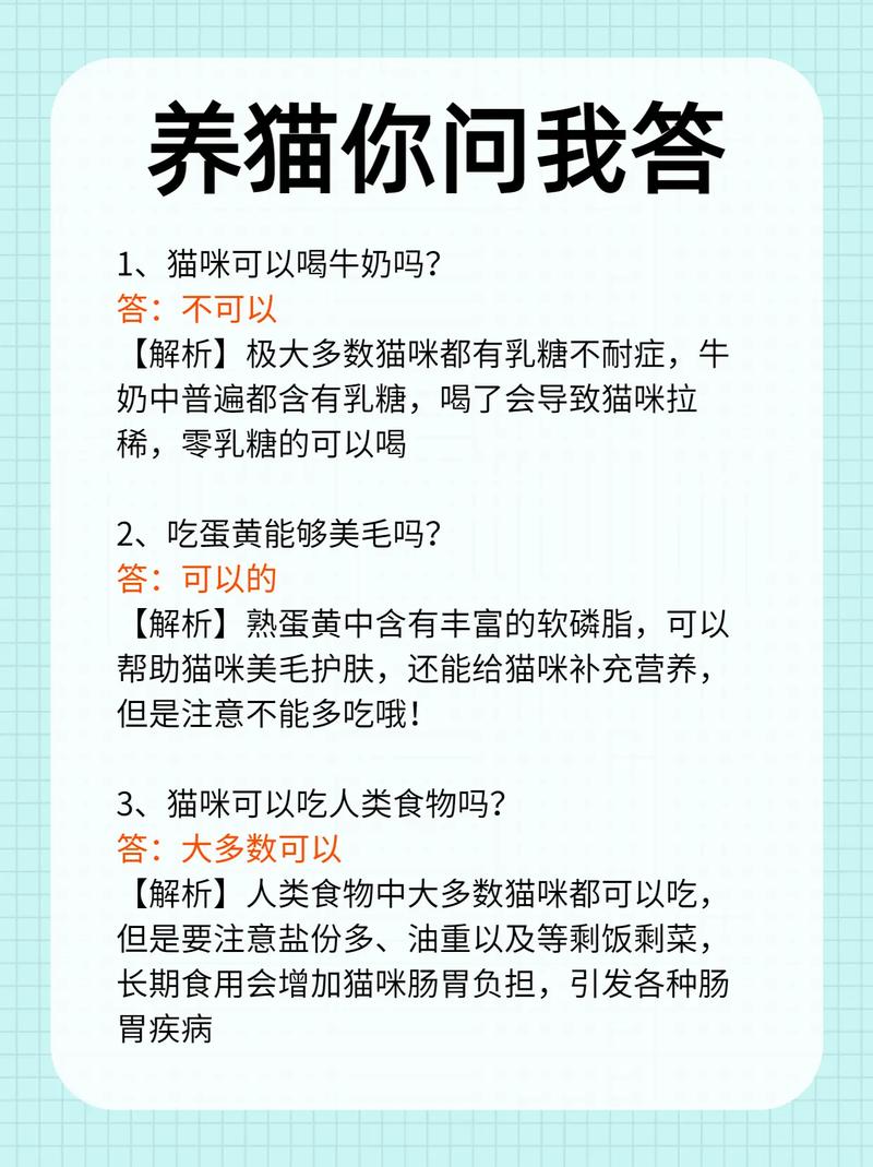  猫咪可以喝舒化奶吗，猫咪可以喝舒化奶吗豆瓣-第3张图片-后鲨宠物