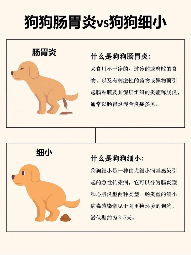 狗狗得细小是什么病,狗狗细小是什么病毒感染-第4张图片-后鲨宠物 狗狗得细小是什么病,狗狗细小是什么病毒感染-第4张图片-后鲨宠物