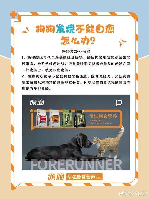 狗狗感冒了可以吹空调吗_狗狗感冒可以吹风吗-第4张图片-后鲨宠物 狗狗感冒了可以吹空调吗_狗狗感冒可以吹风吗-第4张图片-后鲨宠物