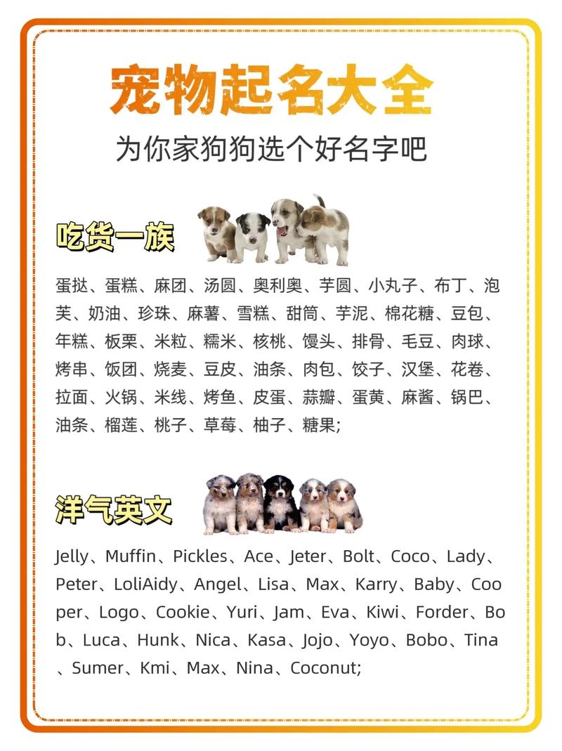 给狗狗起名字大全,给狗狗起名字大全霸气马犬-第4张图片-后鲨宠物 给狗狗起名字大全,给狗狗起名字大全霸气马犬-第4张图片-后鲨宠物