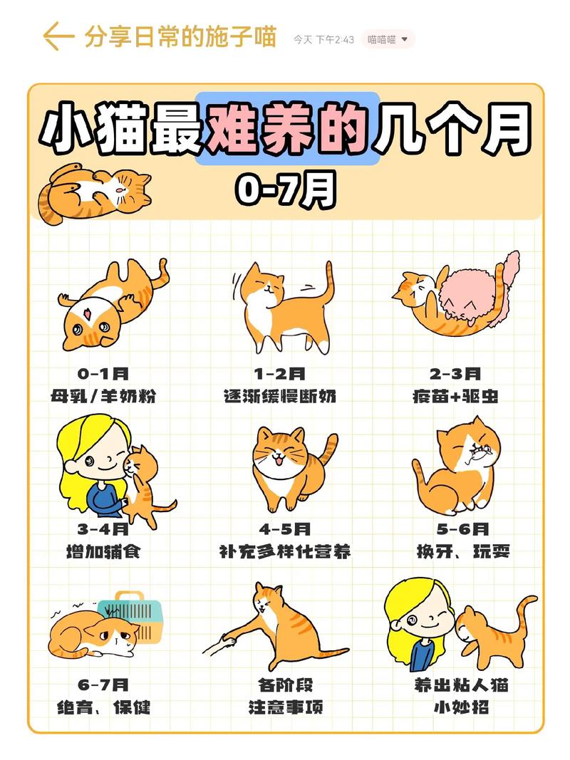 小猫咪什么时候断奶_小猫咪什么时候断奶合适-第1张图片-后鲨宠物 小猫咪什么时候断奶_小猫咪什么时候断奶合适-第1张图片-后鲨宠物