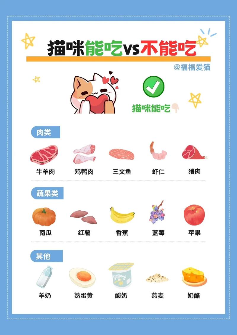 猫咪不能吃的东西,猫不喜欢吃东西怎么办-第5张图片-后鲨宠物 猫咪不能吃的东西,猫不喜欢吃东西怎么办-第5张图片-后鲨宠物