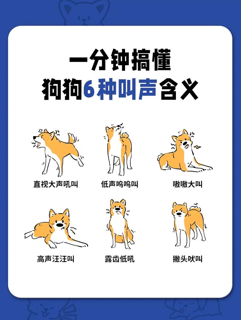 怎样阻止狗狗早上狂叫,怎么控制狗狗早晚不叫-第2张图片-后鲨宠物 怎样阻止狗狗早上狂叫,怎么控制狗狗早晚不叫-第2张图片-后鲨宠物