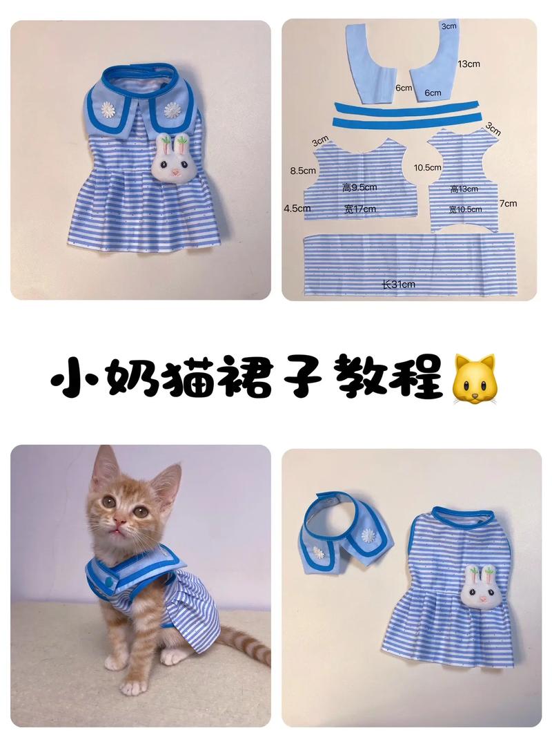 如何给猫咪做衣服_怎么给小猫咪做衣服?-第3张图片-后鲨宠物 如何给猫咪做衣服_怎么给小猫咪做衣服?-第3张图片-后鲨宠物