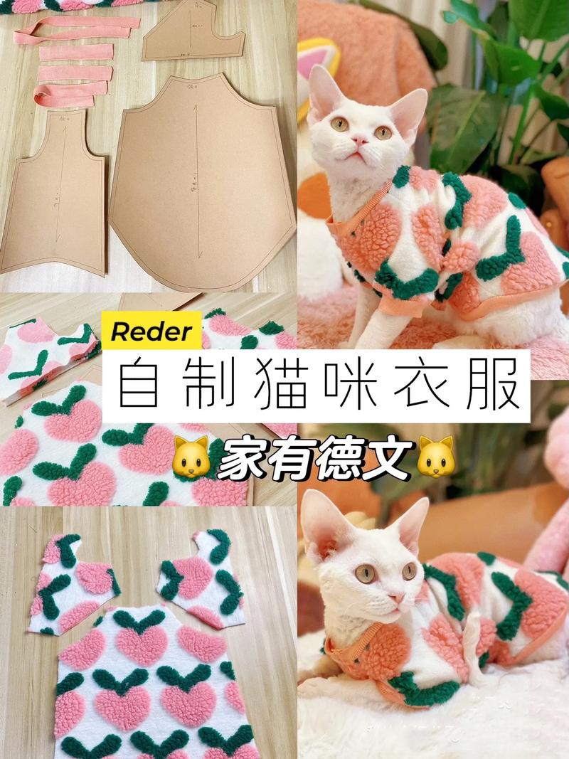如何给猫咪做衣服_怎么给小猫咪做衣服?-第5张图片-后鲨宠物 如何给猫咪做衣服_怎么给小猫咪做衣服?-第5张图片-后鲨宠物