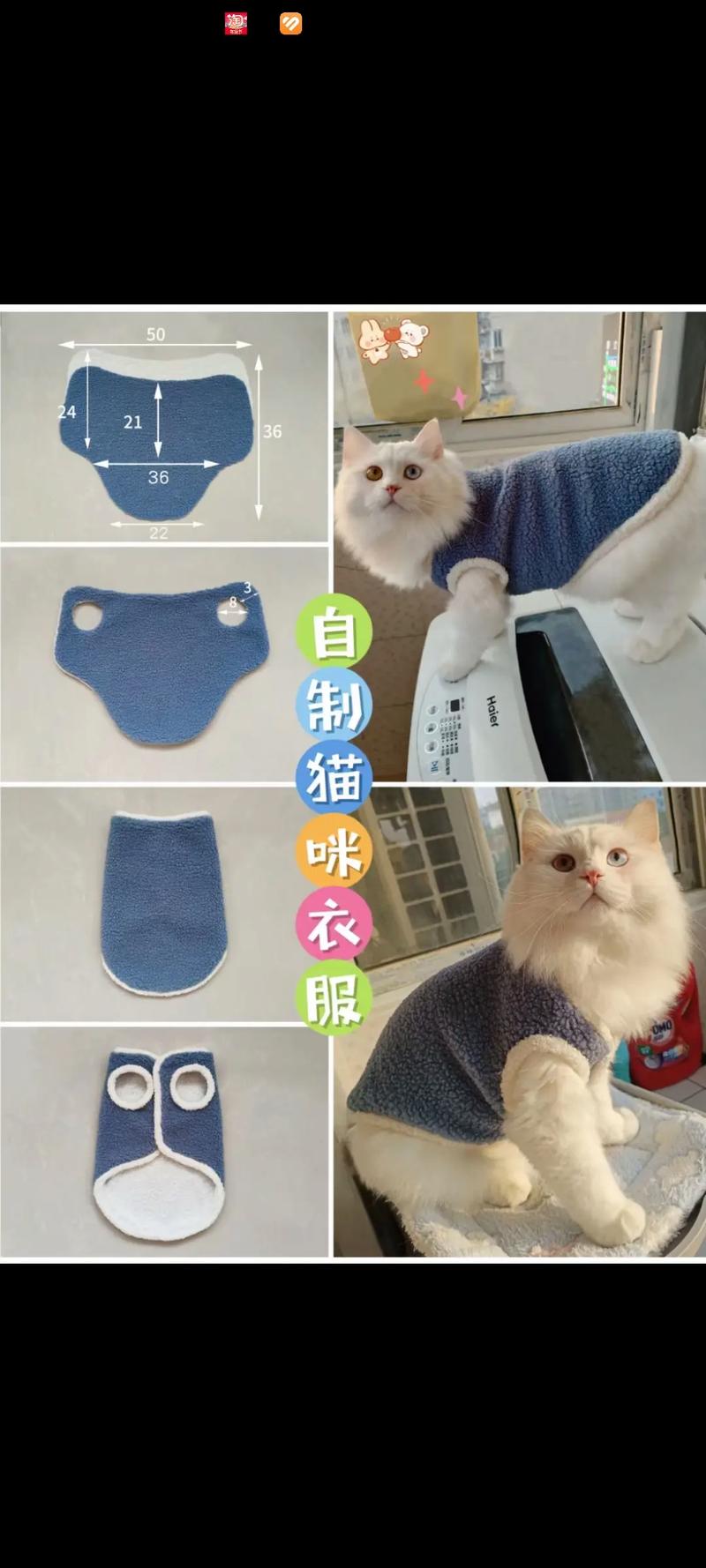 如何给猫咪做衣服_怎么给小猫咪做衣服?-第6张图片-后鲨宠物 如何给猫咪做衣服_怎么给小猫咪做衣服?-第6张图片-后鲨宠物