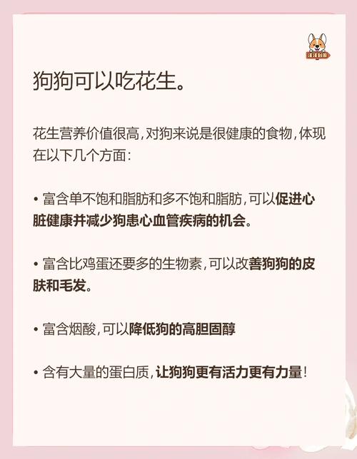 花生狗狗能吃吗_鱼皮花生狗狗能吃吗-第3张图片-后鲨宠物 花生狗狗能吃吗_鱼皮花生狗狗能吃吗-第3张图片-后鲨宠物