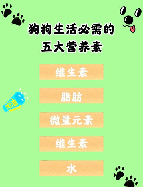 狗狗可以吃维生素e吗,狗狗可以吃维生素E吗??-第1张图片-后鲨宠物 狗狗可以吃维生素e吗,狗狗可以吃维生素E吗??-第1张图片-后鲨宠物