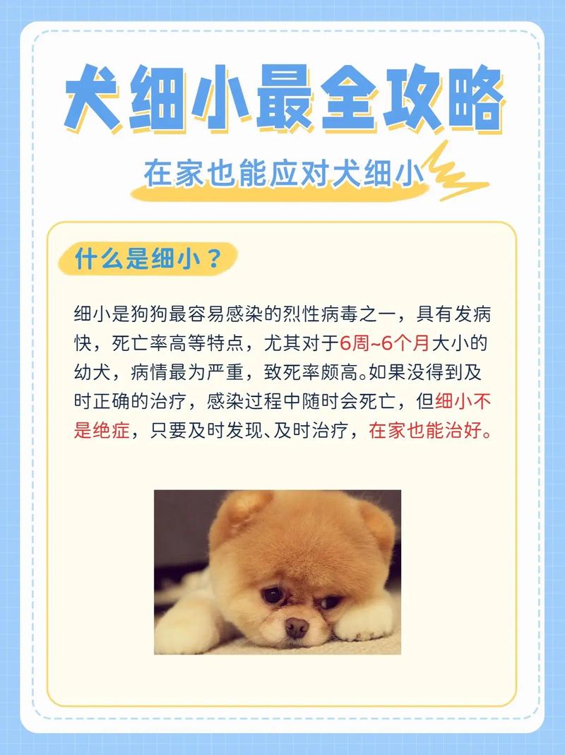 狗狗的细小能治好吗,狗狗细小能治疗吗?-第2张图片-后鲨宠物 狗狗的细小能治好吗,狗狗细小能治疗吗?-第2张图片-后鲨宠物