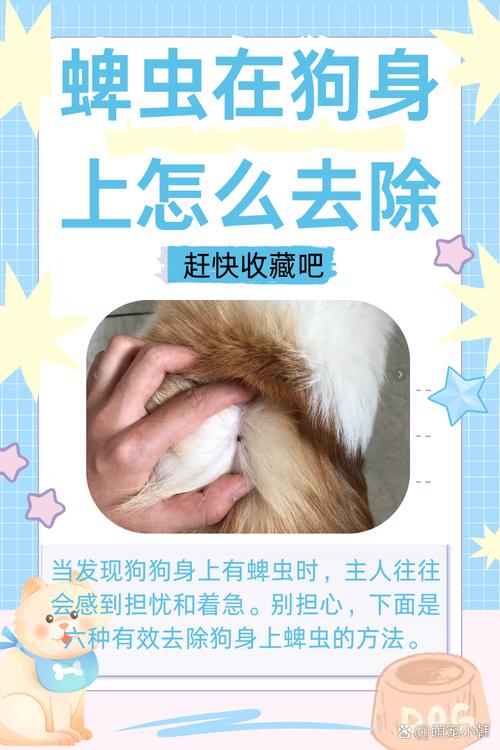 狗狗身上有虫怎么办,狗狗身上的蜱虫怎么彻底消灭?-第5张图片-后鲨宠物 狗狗身上有虫怎么办,狗狗身上的蜱虫怎么彻底消灭?-第5张图片-后鲨宠物