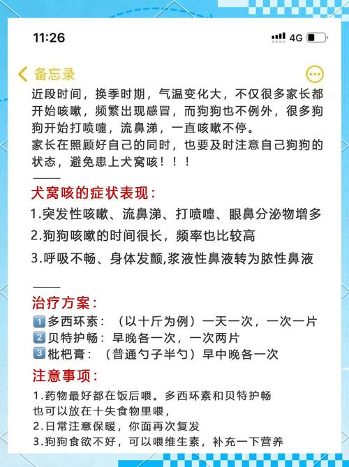 狗狗气管不好怎么办,狗狗气管问题-第4张图片-后鲨宠物 狗狗气管不好怎么办,狗狗气管问题-第4张图片-后鲨宠物