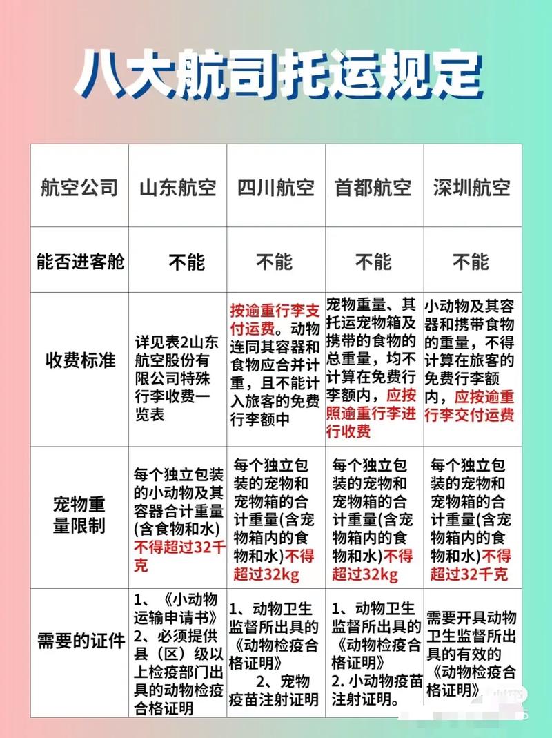 猫咪托运多少钱,猫咪快递托运多少钱?-第5张图片-后鲨宠物 猫咪托运多少钱,猫咪快递托运多少钱?-第5张图片-后鲨宠物