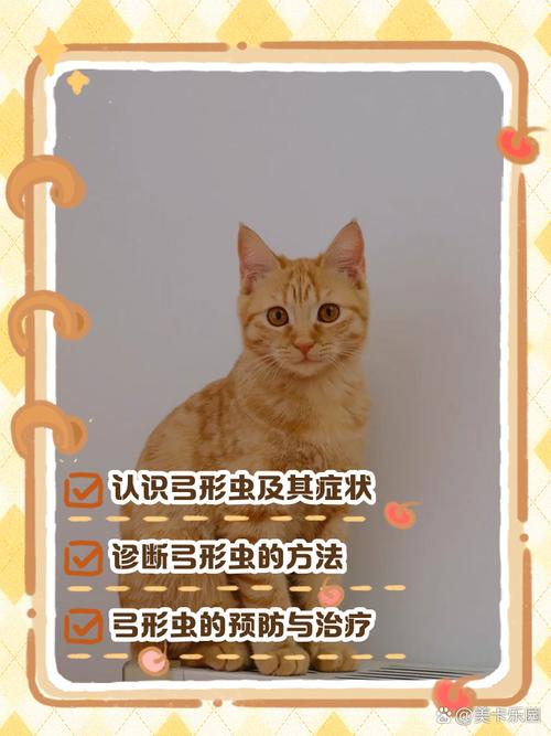 猫咪弓形虫检测_猫咪弓形虫检测方法-第4张图片-后鲨宠物 猫咪弓形虫检测_猫咪弓形虫检测方法-第4张图片-后鲨宠物