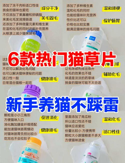 猫咪一次吃多少猫草,猫一天要吃多少猫草-第3张图片-后鲨宠物 猫咪一次吃多少猫草,猫一天要吃多少猫草-第3张图片-后鲨宠物