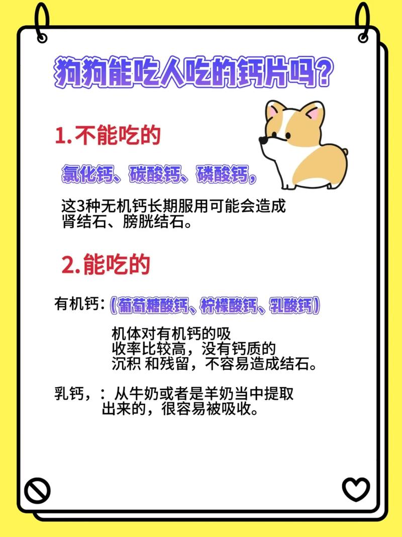 狗狗钙片吃多了会怎样_狗狗钙片吃多了怎么办-第3张图片-后鲨宠物 狗狗钙片吃多了会怎样_狗狗钙片吃多了怎么办-第3张图片-后鲨宠物