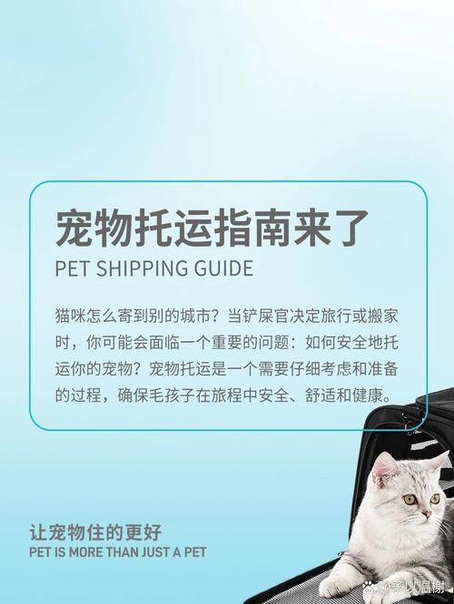 猫咪怎么托运到外地_猫咪怎么托运到外地去-第2张图片-后鲨宠物 猫咪怎么托运到外地_猫咪怎么托运到外地去-第2张图片-后鲨宠物