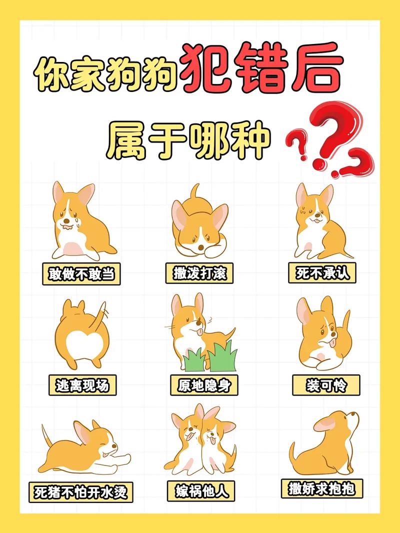 狗狗换主人会怎么样,狗换主人会不会不吃东西?-第2张图片-后鲨宠物 狗狗换主人会怎么样,狗换主人会不会不吃东西?-第2张图片-后鲨宠物