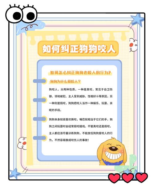 如何训练狗狗咬人_如何训练狗狗咬人力度-第4张图片-后鲨宠物 如何训练狗狗咬人_如何训练狗狗咬人力度-第4张图片-后鲨宠物