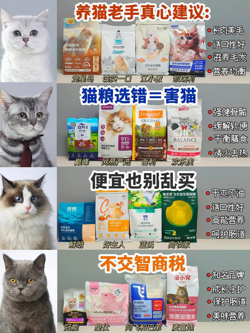 成猫猫粮什么牌子好,成猫吃哪种猫粮好-第3张图片-后鲨宠物 成猫猫粮什么牌子好,成猫吃哪种猫粮好-第3张图片-后鲨宠物