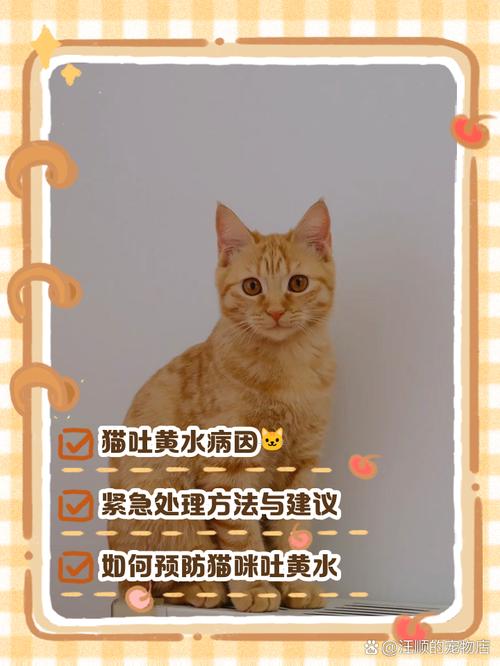 猫咪吐黄水怎么办_猫咪吐黄水怎么办严重吗-第2张图片-后鲨宠物 猫咪吐黄水怎么办_猫咪吐黄水怎么办严重吗-第2张图片-后鲨宠物