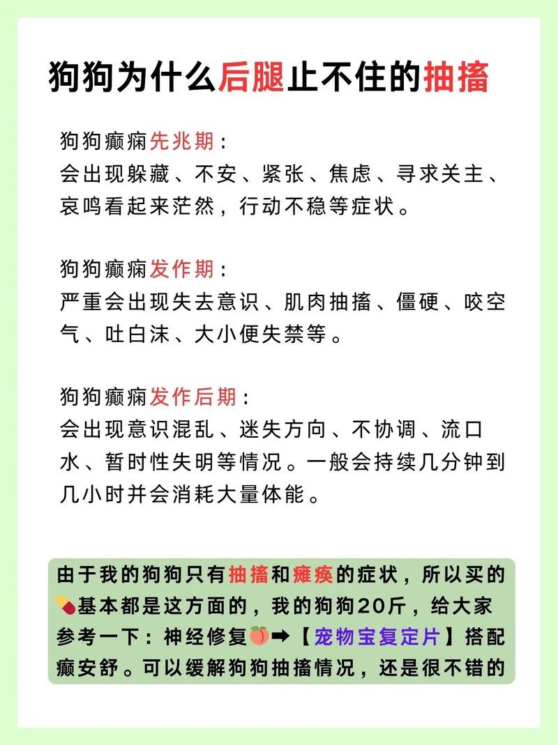 狗狗癫疯病怎么才能治好_狗狗癫疯病怎么才能治好中药-第5张图片-后鲨宠物