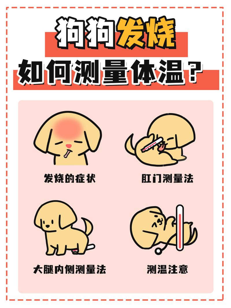 狗狗发烧是什么症状,狗狗发烧有什么征兆-第1张图片-后鲨宠物 狗狗发烧是什么症状,狗狗发烧有什么征兆-第1张图片-后鲨宠物