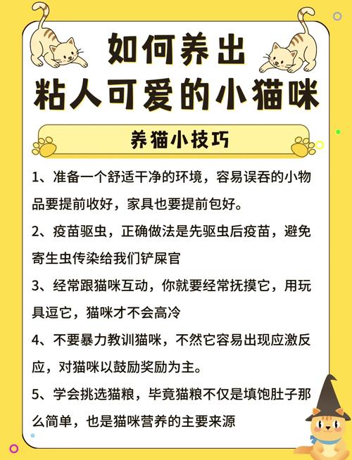 猫咪打完疫苗多久驱虫,猫咪打了疫苗多久驱虫-第1张图片-后鲨宠物 猫咪打完疫苗多久驱虫,猫咪打了疫苗多久驱虫-第1张图片-后鲨宠物