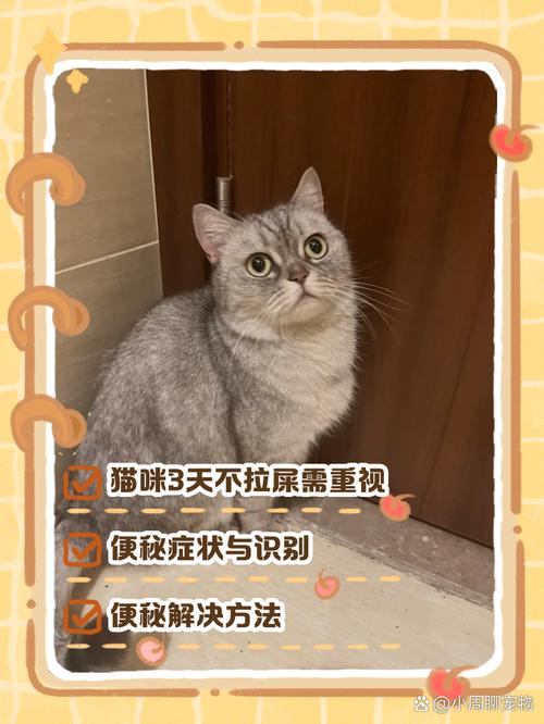 猫咪三天没拉屎_猫咪三天没拉屎而且不爱动-第1张图片-后鲨宠物 猫咪三天没拉屎_猫咪三天没拉屎而且不爱动-第1张图片-后鲨宠物