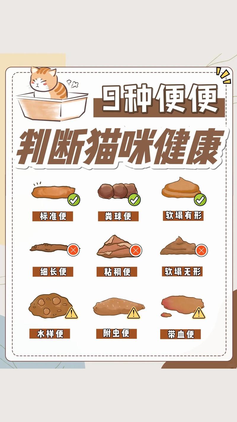 猫咪到处拉屎什么原因,猫到处拉屎是因为什么啊-第1张图片-后鲨宠物 猫咪到处拉屎什么原因,猫到处拉屎是因为什么啊-第1张图片-后鲨宠物