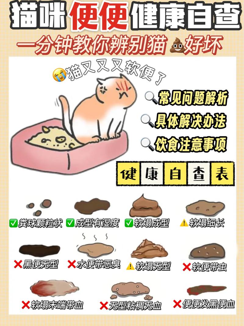 猫咪到处拉屎什么原因,猫到处拉屎是因为什么啊-第2张图片-后鲨宠物 猫咪到处拉屎什么原因,猫到处拉屎是因为什么啊-第2张图片-后鲨宠物