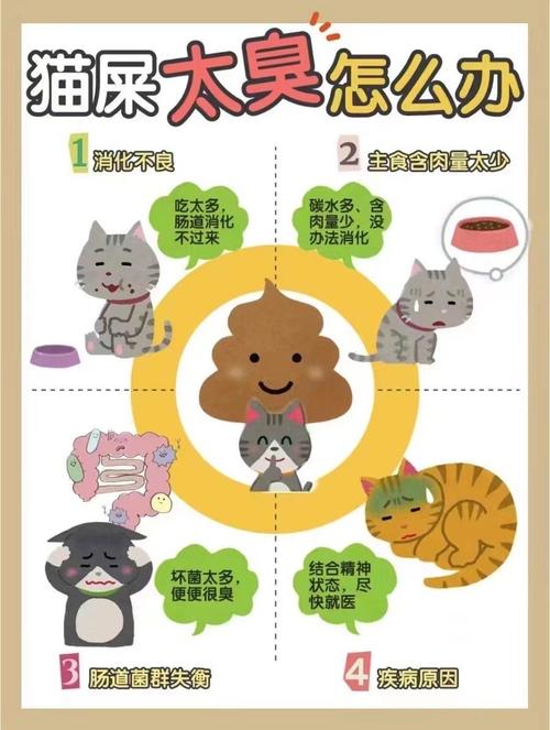 猫咪到处拉屎什么原因,猫到处拉屎是因为什么啊-第4张图片-后鲨宠物 猫咪到处拉屎什么原因,猫到处拉屎是因为什么啊-第4张图片-后鲨宠物