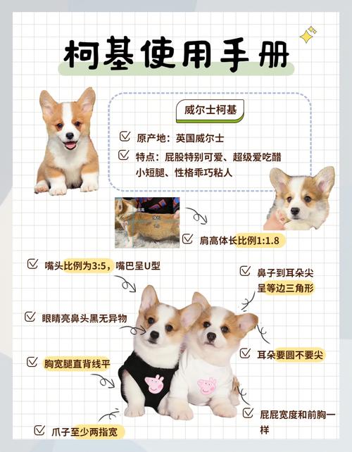 四个月的狗狗一天喂几次，四个月大的小狗一天喂几次?？-第4张图片-后鲨宠物