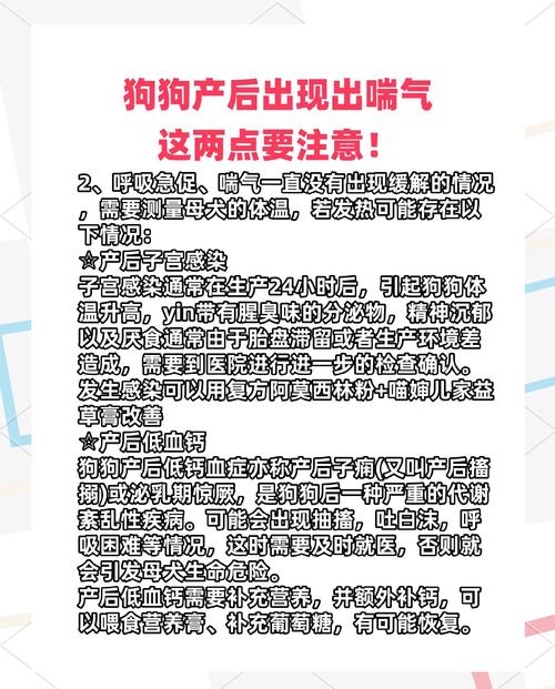 狗狗难产自己怎么处理,狗狗难产自己怎么处理好-第1张图片-后鲨宠物 狗狗难产自己怎么处理,狗狗难产自己怎么处理好-第1张图片-后鲨宠物
