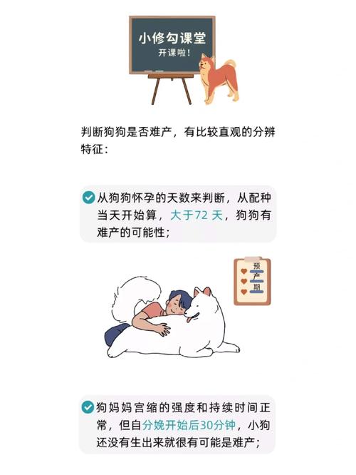 狗狗难产自己怎么处理,狗狗难产自己怎么处理好-第2张图片-后鲨宠物 狗狗难产自己怎么处理,狗狗难产自己怎么处理好-第2张图片-后鲨宠物