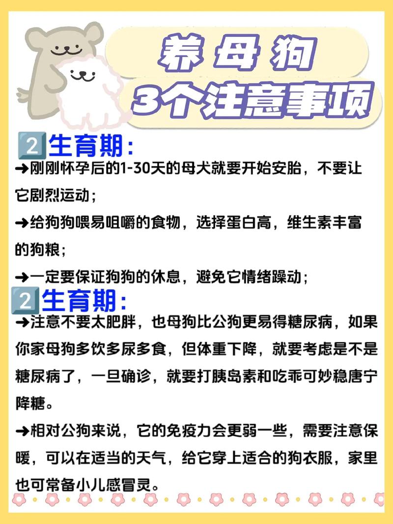 狗狗刚生完小狗怎么办,狗狗刚生完宝宝怎么护理-第2张图片-后鲨宠物 狗狗刚生完小狗怎么办,狗狗刚生完宝宝怎么护理-第2张图片-后鲨宠物