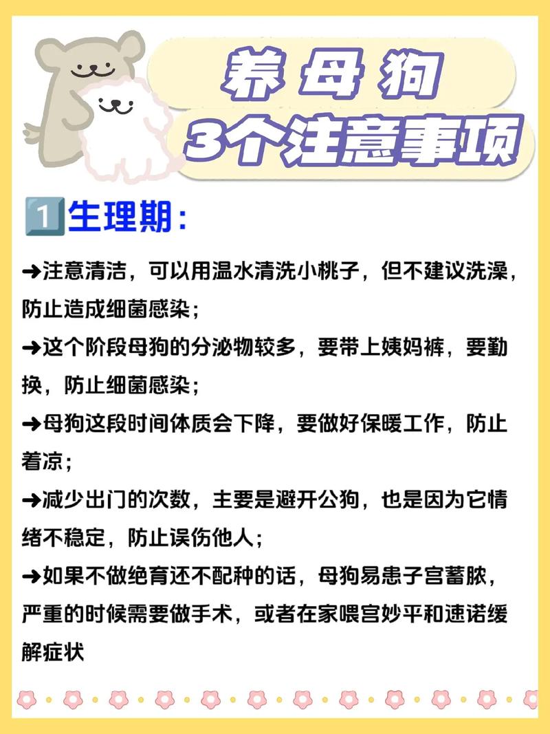 狗狗刚生完小狗怎么办,狗狗刚生完宝宝怎么护理-第4张图片-后鲨宠物 狗狗刚生完小狗怎么办,狗狗刚生完宝宝怎么护理-第4张图片-后鲨宠物