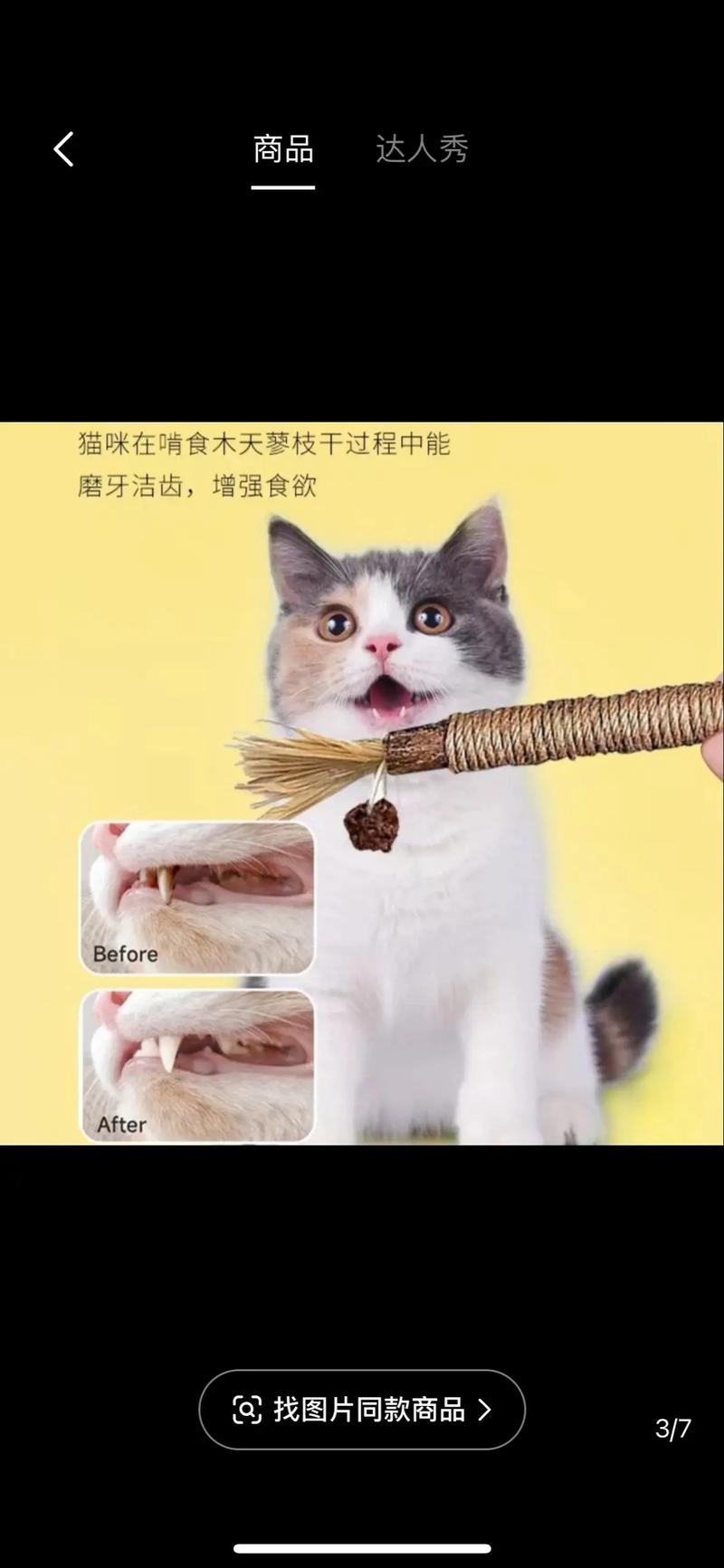 猫咪磨牙期是什么时候,猫磨牙期怎么办-第4张图片-后鲨宠物 猫咪磨牙期是什么时候,猫磨牙期怎么办-第4张图片-后鲨宠物