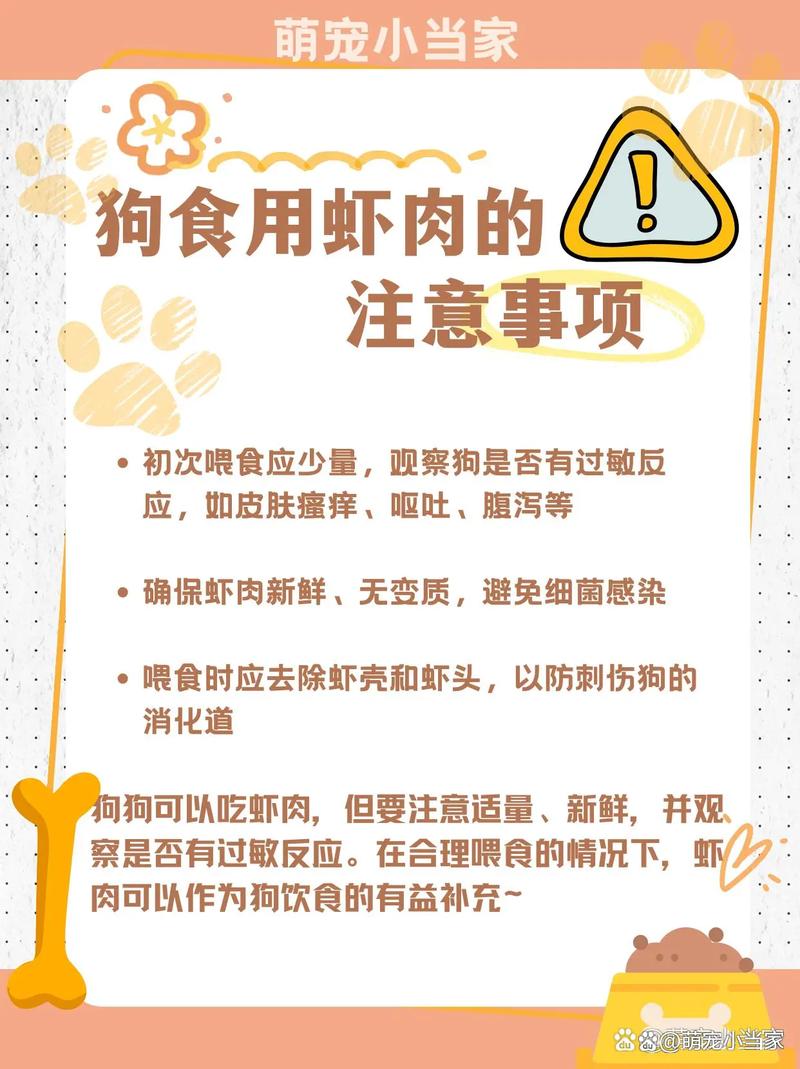 狗狗能吃虾壳吗,狗狗能吃虾壳吗为什么-第2张图片-后鲨宠物 狗狗能吃虾壳吗,狗狗能吃虾壳吗为什么-第2张图片-后鲨宠物