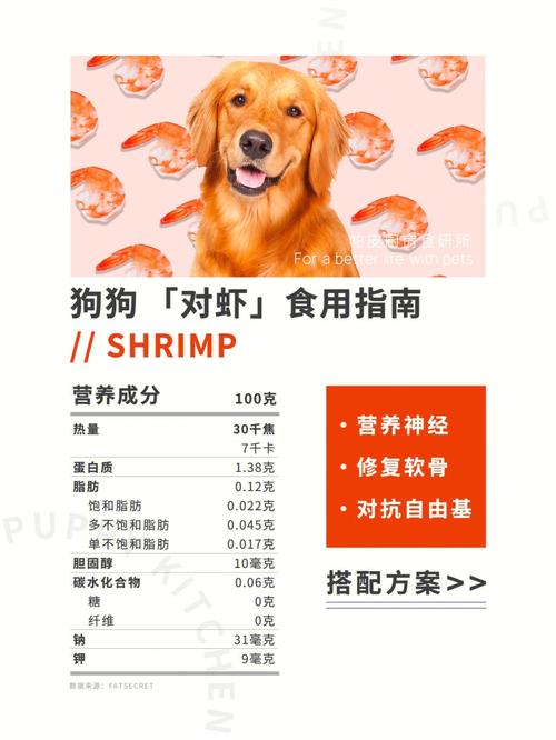 狗狗能吃虾壳吗,狗狗能吃虾壳吗为什么-第5张图片-后鲨宠物 狗狗能吃虾壳吗,狗狗能吃虾壳吗为什么-第5张图片-后鲨宠物