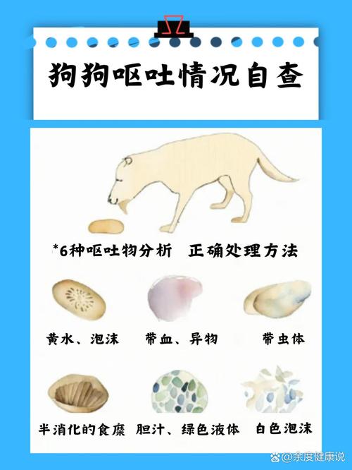 狗狗喝牛奶吐了怎么办_狗狗喝了牛奶吐了-第3张图片-后鲨宠物 狗狗喝牛奶吐了怎么办_狗狗喝了牛奶吐了-第3张图片-后鲨宠物