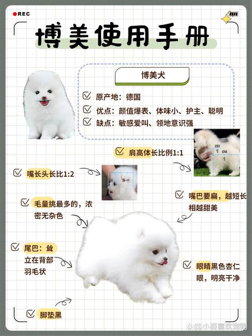 狗狗能吃茶叶蛋吗,宠物狗可以吃茶叶蛋吗-第2张图片-后鲨宠物 狗狗能吃茶叶蛋吗,宠物狗可以吃茶叶蛋吗-第2张图片-后鲨宠物