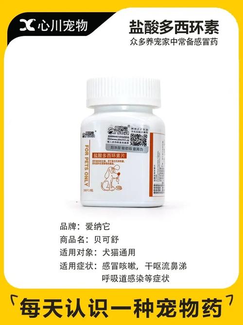 猫咪咳嗽吃什么药好,猫儿咳嗽吃什么药?-第4张图片-后鲨宠物 猫咪咳嗽吃什么药好,猫儿咳嗽吃什么药?-第4张图片-后鲨宠物